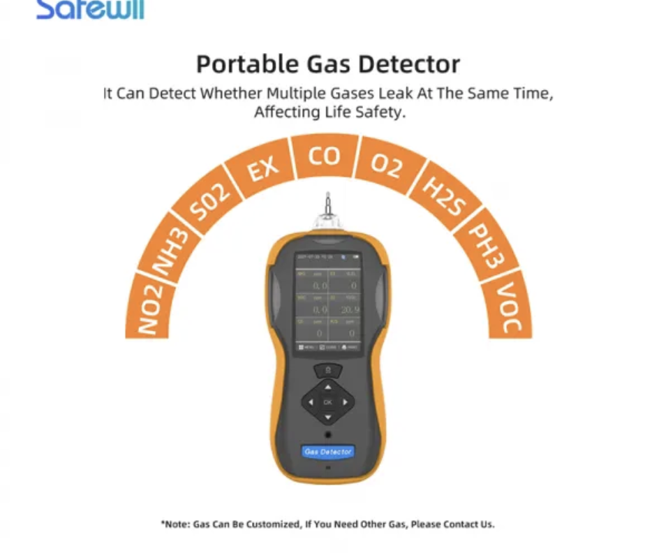 Safewill portable multi-gas detector